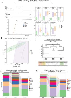 Chinese Medicine Formula Siwu-Yin Inhibits Esophageal Precancerous Lesions by Improving Intestinal Flora and Macrophage Polarization